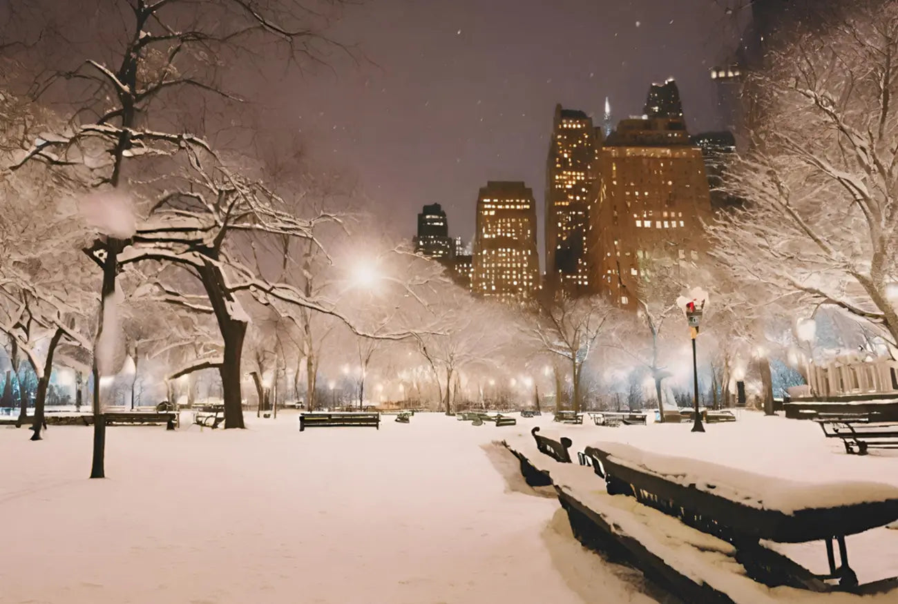 Effective Snow and Ice Management for Public Parks | Ninja De-Icer